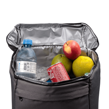 Bolsa Térmica Personalizada Poliéster 600D 16 L BT306 Brindes Personalizados